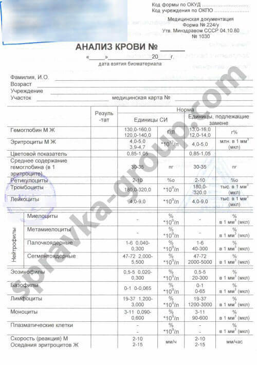 Общий анализ крови (форма 224/у), фото №1